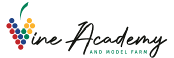 Vine Academy